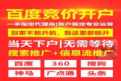百度竞价策略解析：案例分析及优化建议